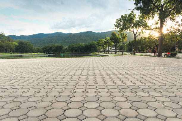 Best Professional Driveway Pavers  in Hagerstown, MD